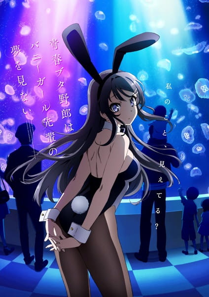 Seishun Buta Yarou wa Bunny Girl Senpai no Yume wo Minai เรื่องฝันปั่นป่วยของผมกับรุ่นพี่บันนี่เกิร์ล ตอนที่ 1-13 จบ ซับไทย