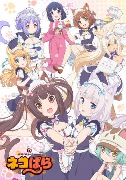 Nekopara เนโกะพารา ตอนที่ 8 ซับไทย