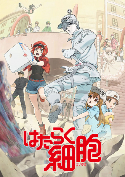 Hataraku Saibou เซลล์ขยันพันธุ์เดือด ตอนที่ 9 ซับไทย