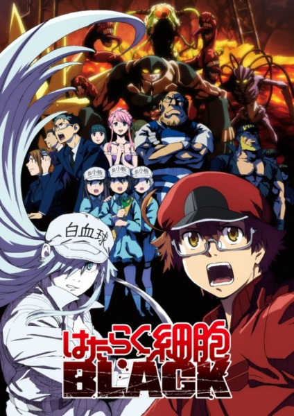 Hataraku Saibou Black เซลล์ขยันพันธุ์เดือด แบล็ค ตอนที่ 13 จบ ซับไทย