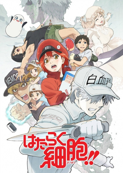 Hataraku Saibou!! 2nd Season เซลล์ขยันพันธุ์เดือด ภาค 2 ตอนที่ 3 ซับไทย